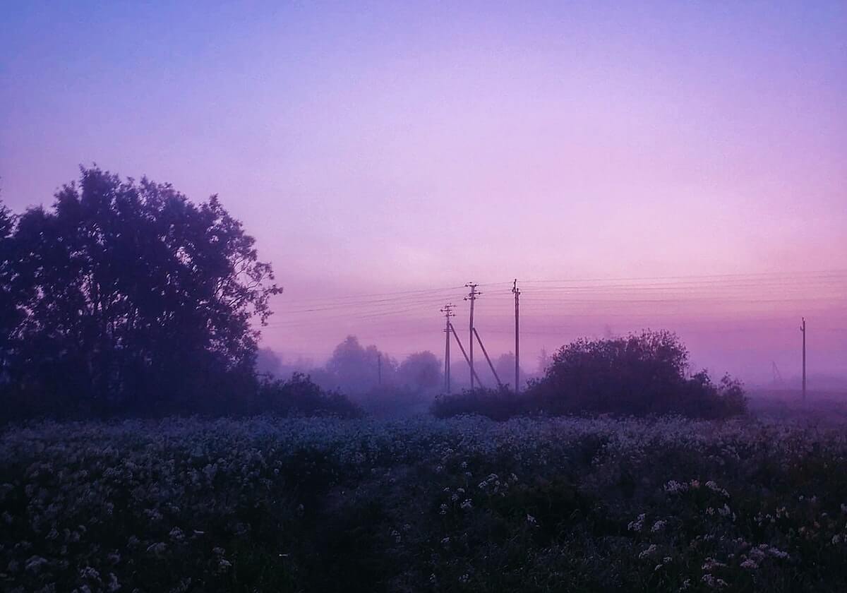 天博-新的一岁里 希望你继续为热爱奔赴！祝张镇麟27岁生日快乐！🎂